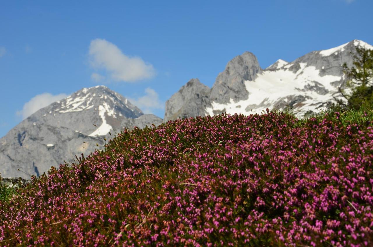 Tennengebirge *