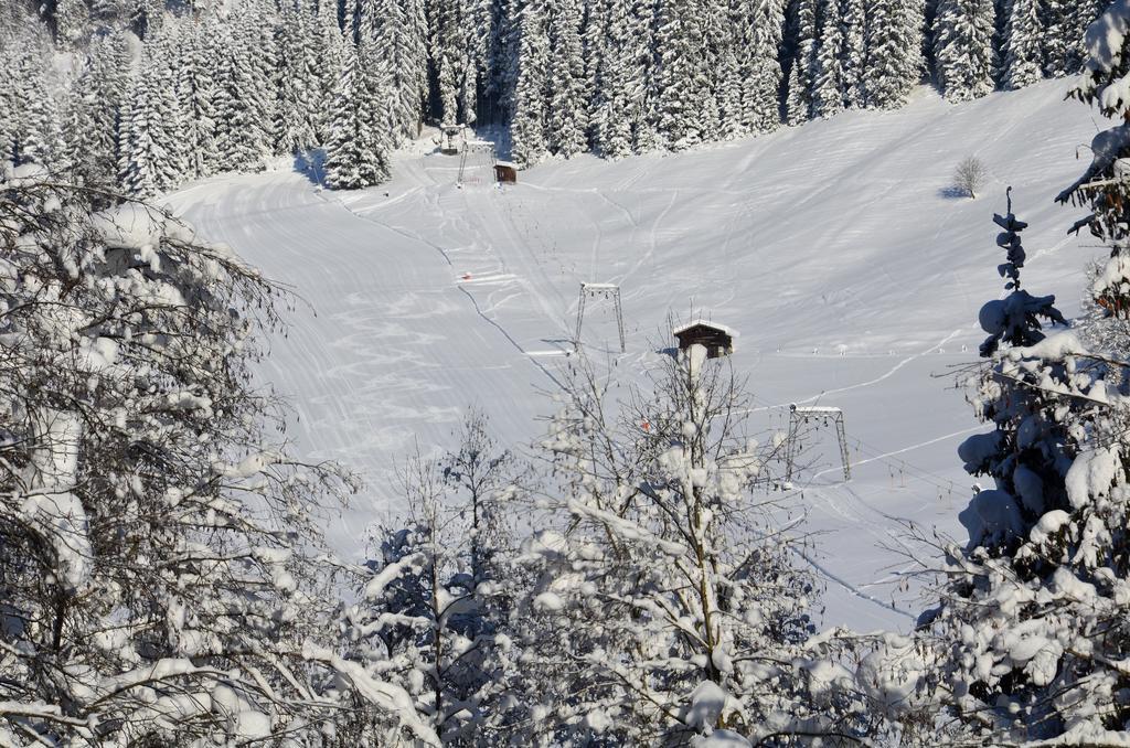 Apartment Tennengebirge *