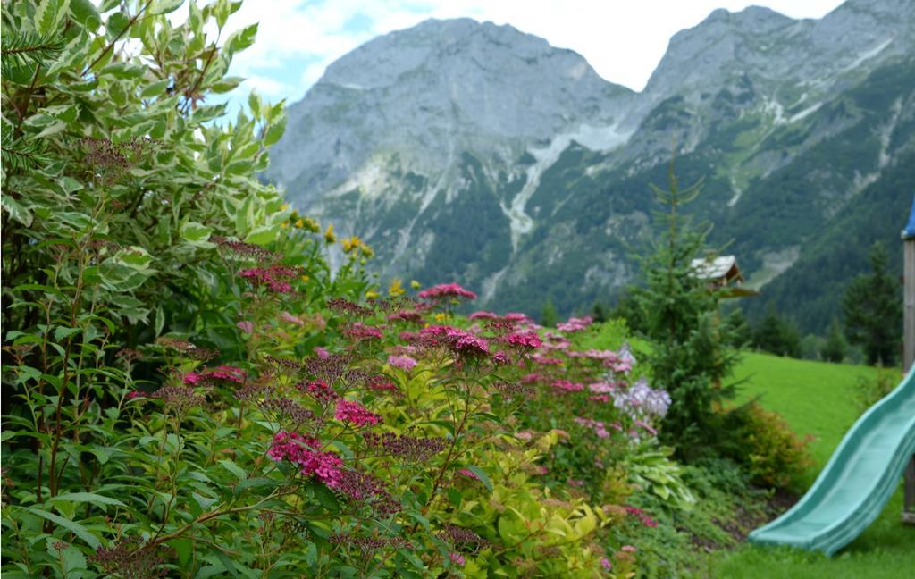 Apartment Tennengebirge *